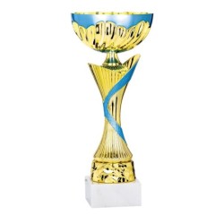 Coupe Métal personnalisée de 26 cm -Clubs de sport !