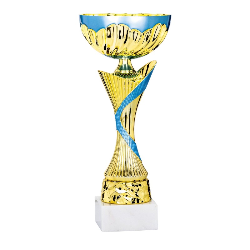 Coupe Métal personnalisée de 26 cm -Clubs de sport !