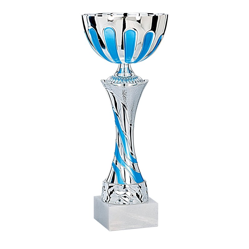 Coupe Métal personnalisée de 27 cm -Clubs de sport !