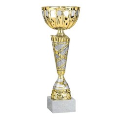 Coupe Métal personnalisée de 26 cm -Clubs de sport !