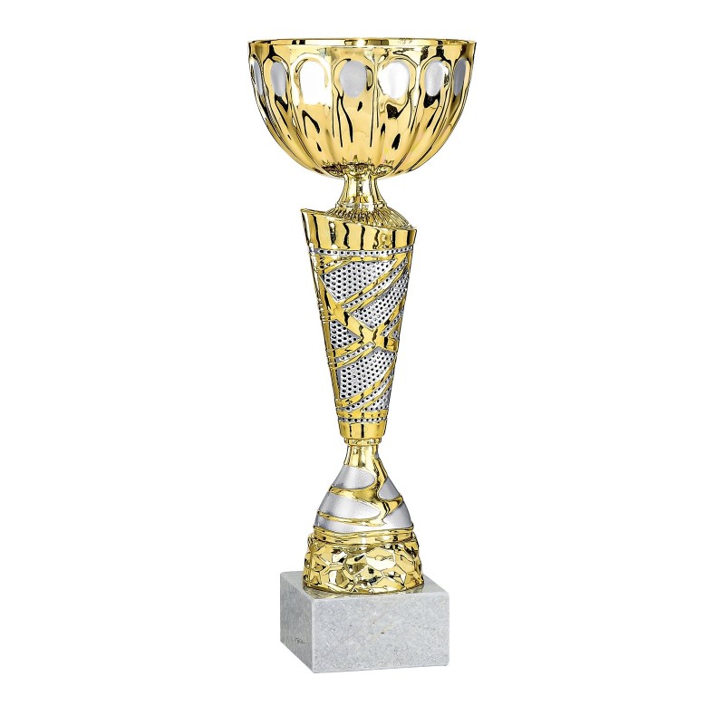 Coupe Métal personnalisée de 26 cm -Clubs de sport !
