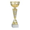 Coupe Métal personnalisée de 26 cm -Clubs de sport !