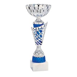 Coupe Métal personnalisée de 30 cm -Clubs de sport !