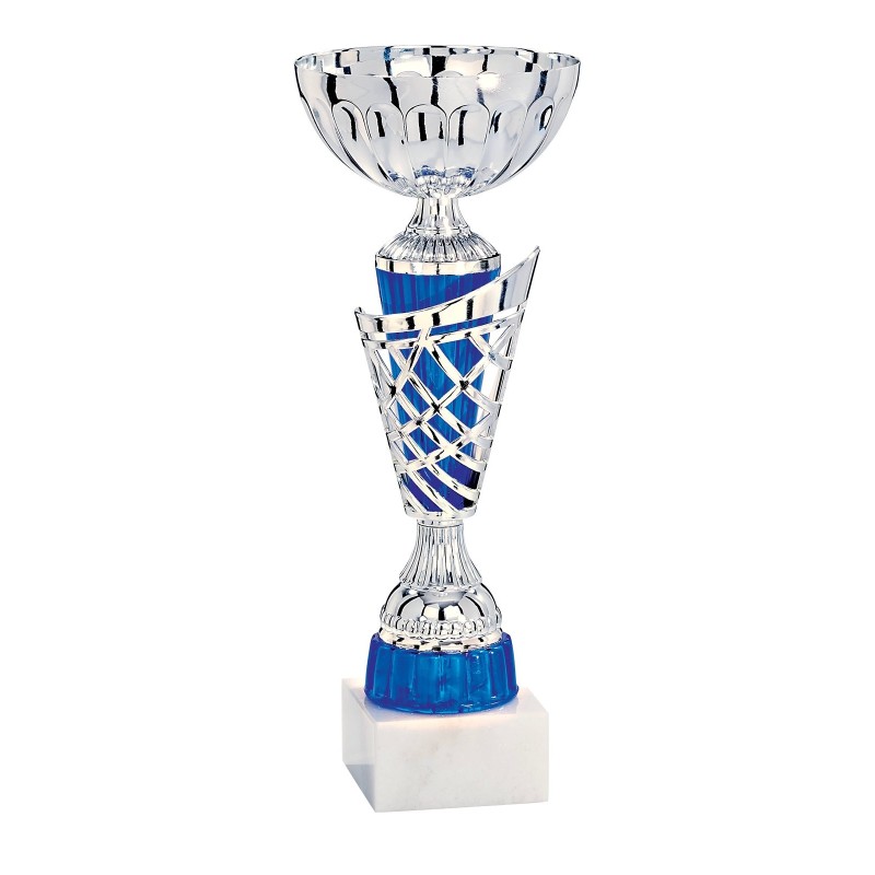 Coupe Métal personnalisée de 30 cm -Clubs de sport !