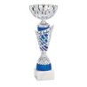 Coupe Métal personnalisée de 30 cm -Clubs de sport !
