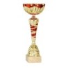Coupe Métal personnalisée de 24 cm -Clubs de sport !