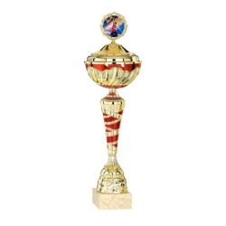 Coupe Métal Personnalisée - 34 cm - Grand choix de sports