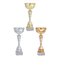 Coupe Métal personnalisée de 35 cm -Clubs de sport !