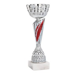 Coupe Métal personnalisée de 26 cm -Clubs de sport !
