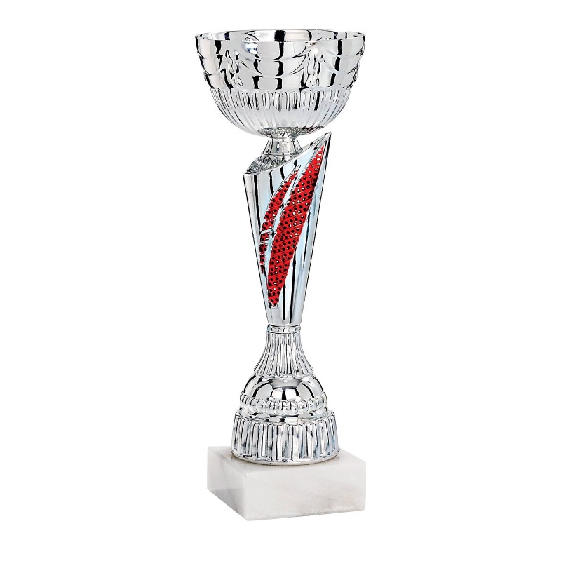 Coupe Métal personnalisée de 26 cm -Clubs de sport !