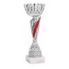 Coupe Métal personnalisée de 26 cm -Clubs de sport !