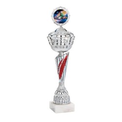 Coupe Métal Personnalisée - 36 cm - Grand choix de sports