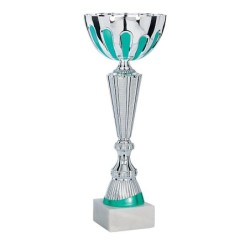 Coupe Métal personnalisée de 30 cm -Clubs de sport !