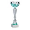 Coupe Métal personnalisée de 30 cm -Clubs de sport !