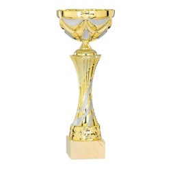 Coupe Métal personnalisée de 27 cm -Clubs de sport !