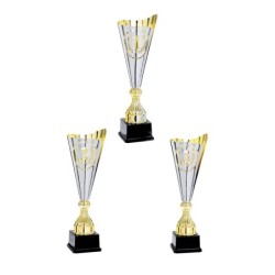 Coupe Métal personnalisée de 40 cm -Clubs de sport !