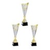 Coupe Métal personnalisée de 40 cm -Clubs de sport !