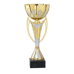 Coupe Métal personnalisée de 26 cm -Clubs de sport !