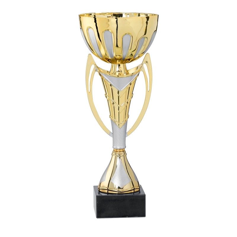 Coupe Métal personnalisée de 26 cm -Clubs de sport !