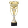 Coupe Métal personnalisée de 26 cm -Clubs de sport !