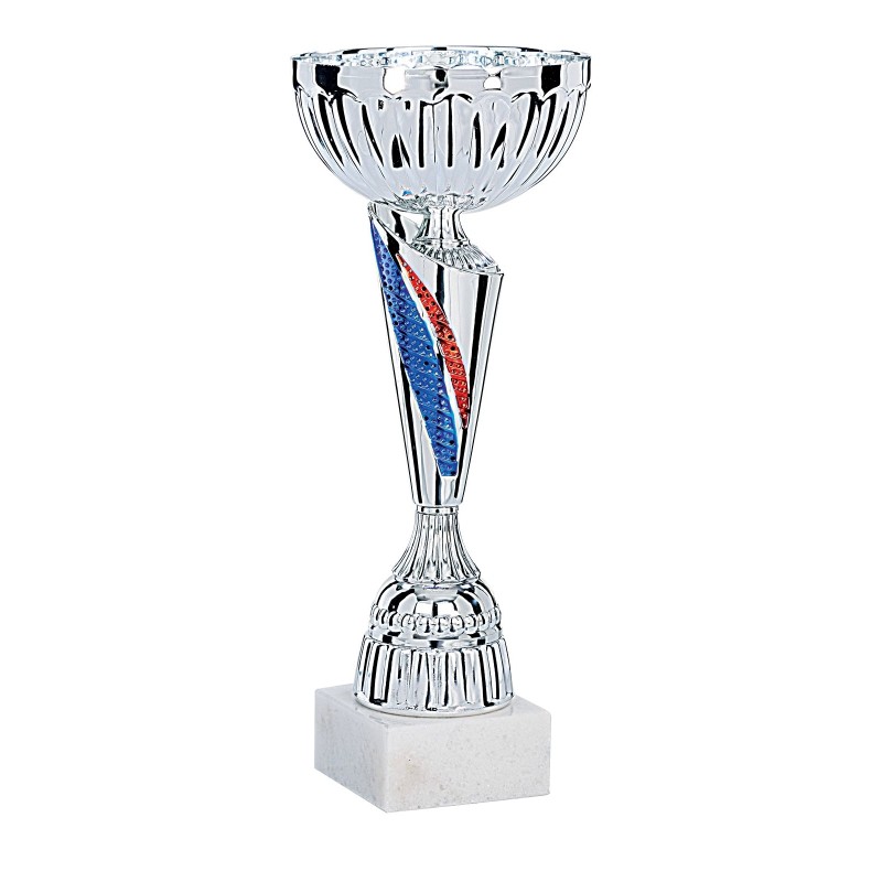 Coupe Métal personnalisée de 28 cm -Clubs de sport !