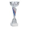 Coupe Métal personnalisée de 28 cm -Clubs de sport !