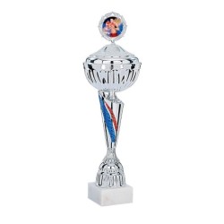 Coupe Métal Personnalisée - 38cm - Grand choix de sports