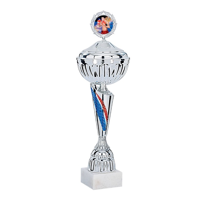 Coupe Métal Personnalisée - 38cm - Grand choix de sports