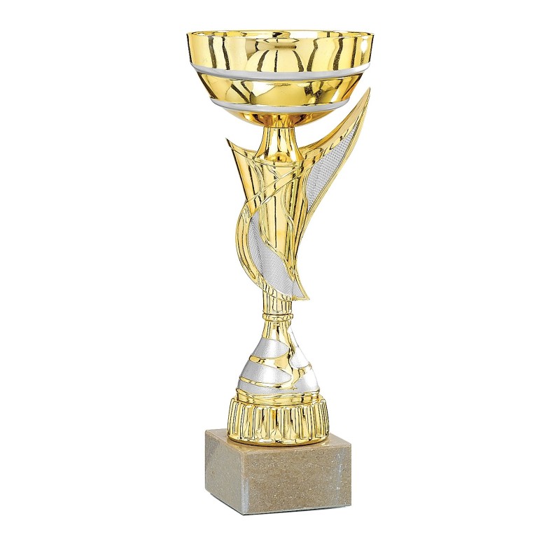 Coupe Métal personnalisée de 26 cm -Clubs de sport !