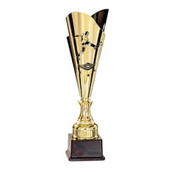 Coupe Laser Métal Football (45 cm) Prix Spécial Clubs