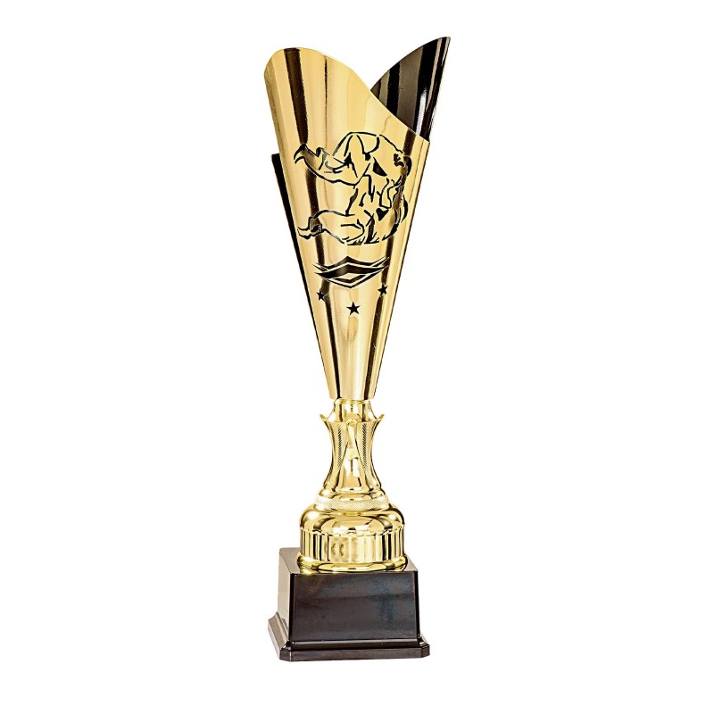 Coupe Laser Métal Judo (43 cm) Prix Spécial Clubs
