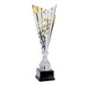 Coupe Métal "Laser" de 42 cm -Clubs de sport !