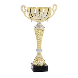 Coupe Métal "Premium" de 29 cm -Clubs de sport !