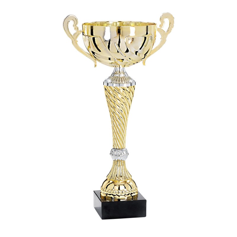 Coupe Métal "Premium" de 29 cm -Clubs de sport !