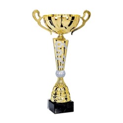 Coupe Métal "Premium" de 30 cm -Clubs de sport !