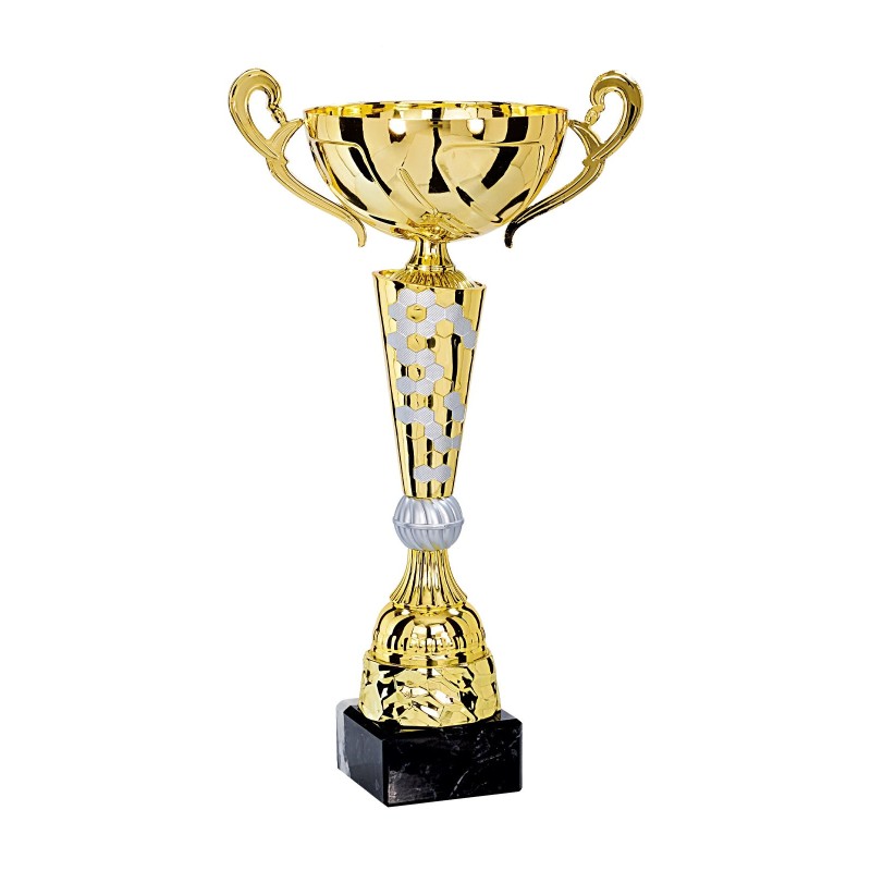 Coupe Métal "Premium" de 30 cm -Clubs de sport !