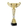 Coupe Métal "Premium" de 30 cm -Clubs de sport !