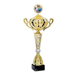 Coupe Métal Personnalisée - 40 cm - Grand choix de sports