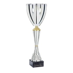 Coupe Métal "Premium" de 33 cm -Clubs de sport !
