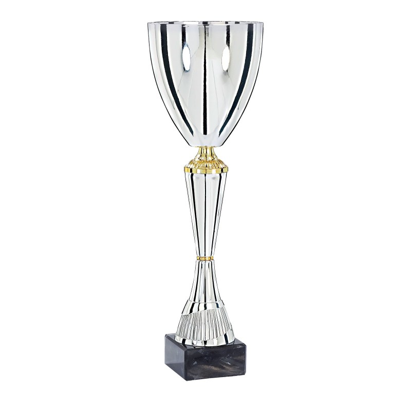 Coupe Métal "Premium" de 33 cm -Clubs de sport !