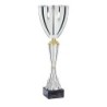 Coupe Métal "Premium" de 33 cm -Clubs de sport !