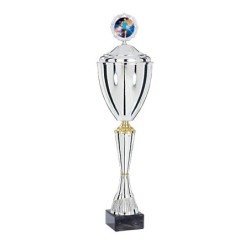 Coupe Métal Personnalisée - 43 cm - Grand choix de sports