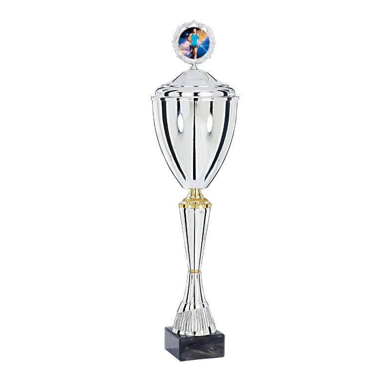 Coupe Métal Personnalisée - 43 cm - Grand choix de sports