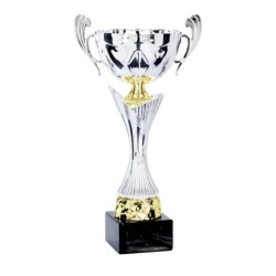 Coupe Métal "Premium" de 30 cm -Clubs de sport !