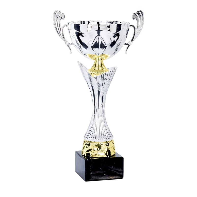 Coupe Métal "Premium" de 30 cm -Clubs de sport !
