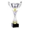 Coupe Métal "Premium" de 30 cm -Clubs de sport !