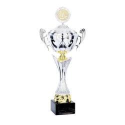 Coupe Métal Personnalisée - 40 cm - Grand choix de sports