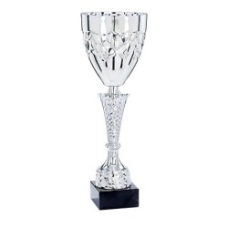 Coupe Métal "Premium" de 34 cm -Clubs de sport !