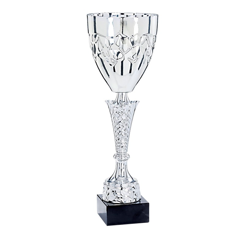 Coupe Métal "Premium" de 34 cm -Clubs de sport !