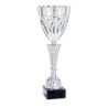Coupe Métal "Premium" de 34 cm -Clubs de sport !